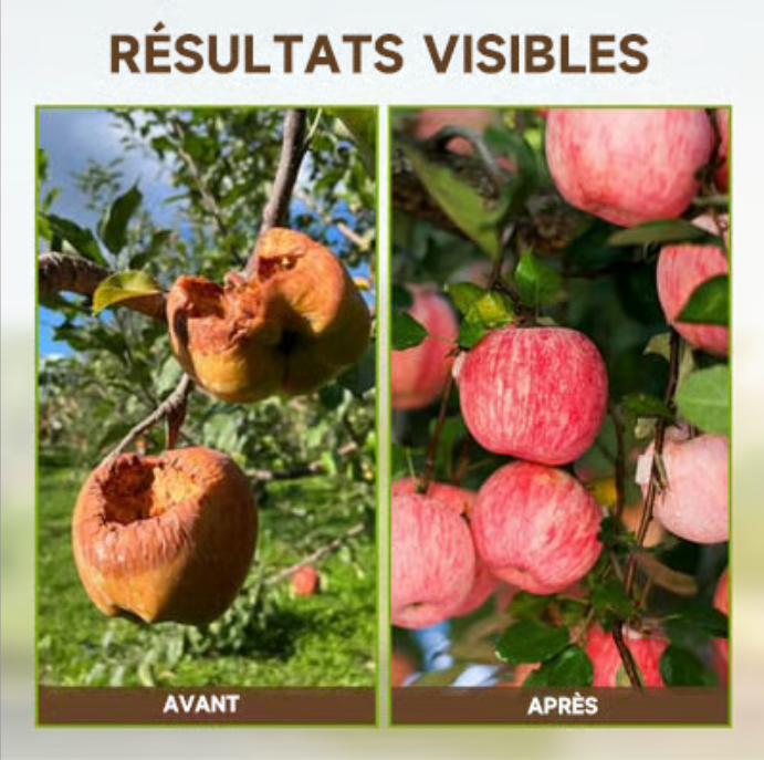 🔥Vente chaude - 50 % de réduction🔥Activateur de sol et engrais biologique de qualité supérieure